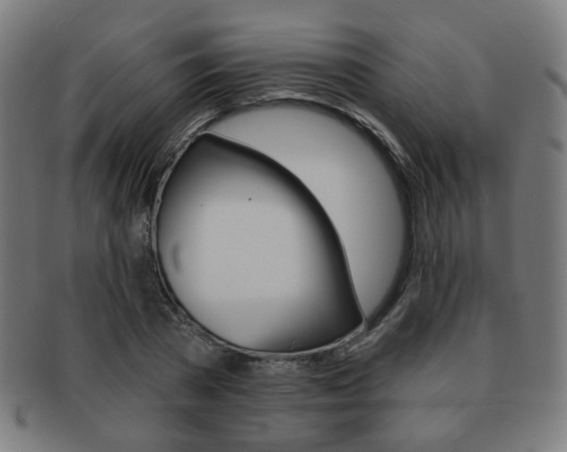 X0000091890785200709051044