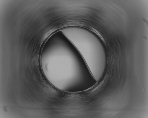 X0000091890786200709051044
