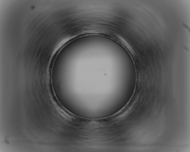 X0000091890787200709051044