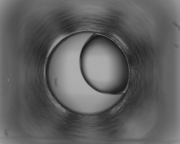 X0000091890788200709051044