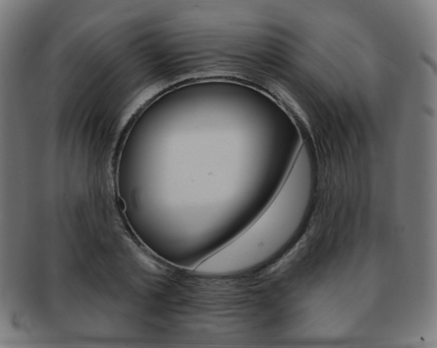 X0000091890789200709051044