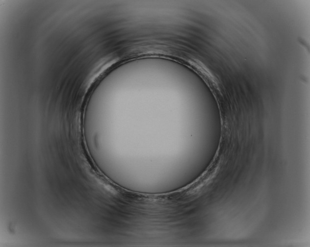 X0000091890790200709051044