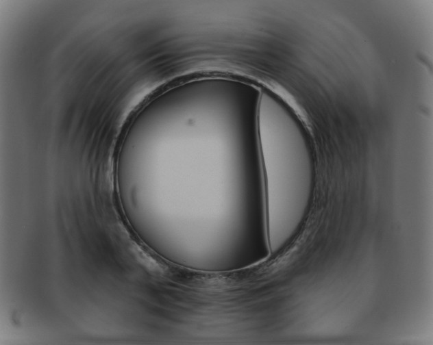 X0000091890791200709051044