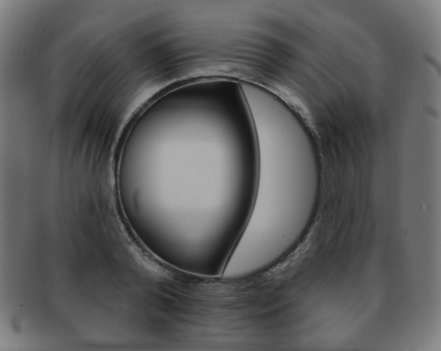 X0000091890792200709051043