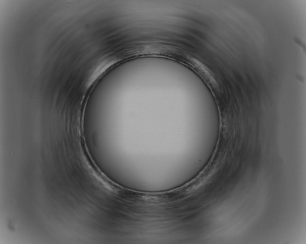 X0000091890794200709051043