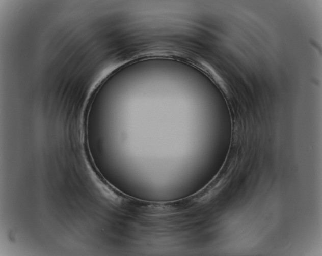 X0000091890795200709051043