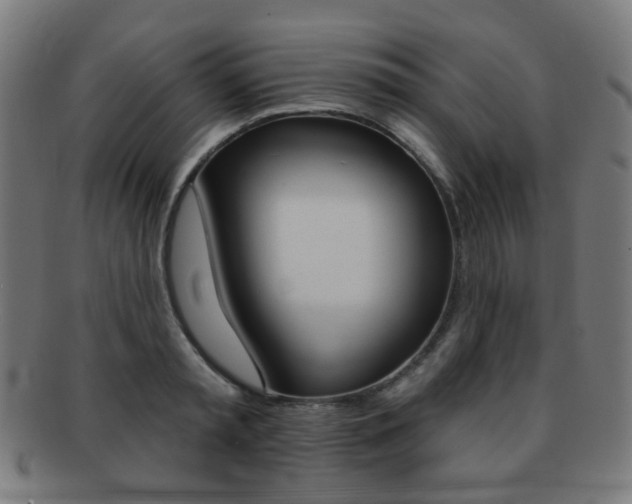 X0000091890797200709051043
