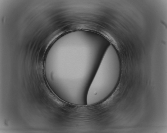 X0000091890798200709051043