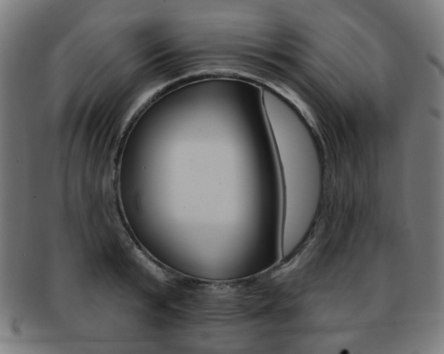 X0000091890799200709051043