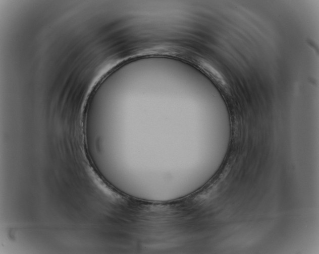 X0000091890800200709051043