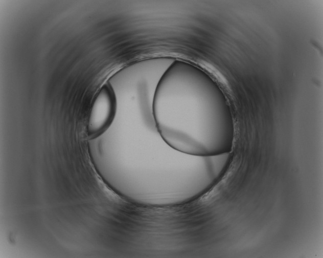 X0000091890801200709051043