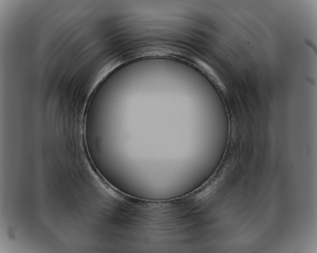 X0000091890802200709051043