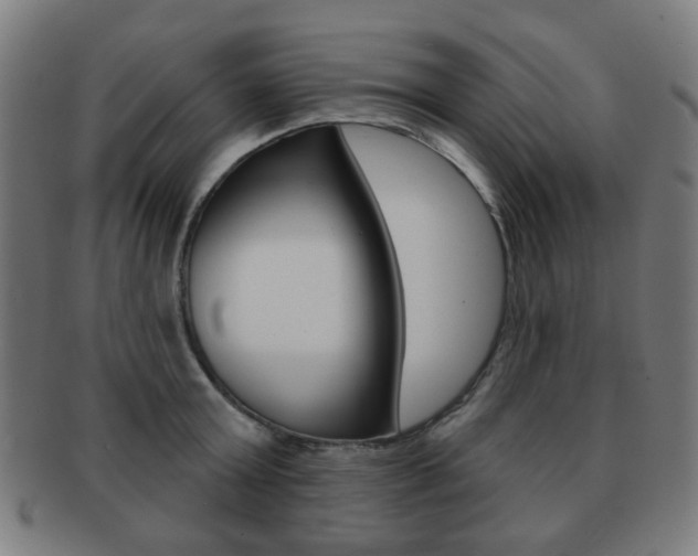 X0000091890803200709051043