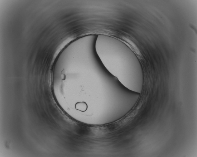 X0000091890804200709051043
