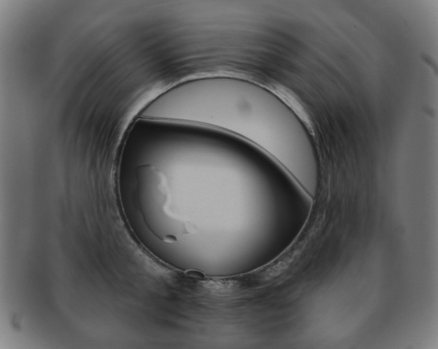 X0000091890805200709051043