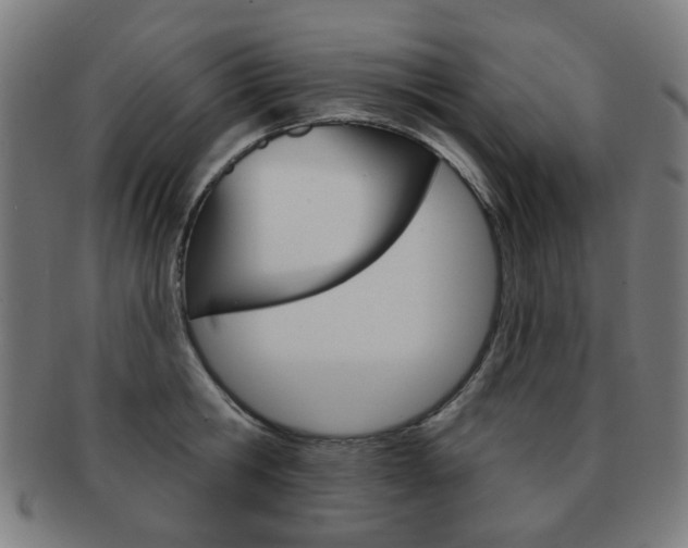 X0000091890806200709051043