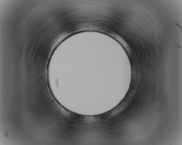 X0000091890807200709051043