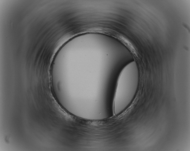 X0000091890808200709051043