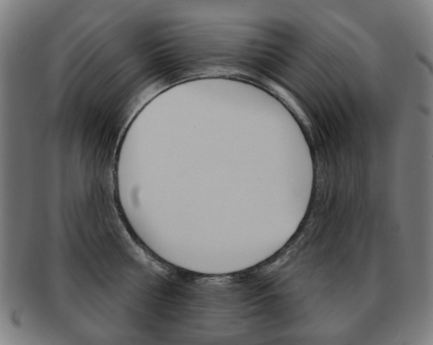 X0000091890810200709051043