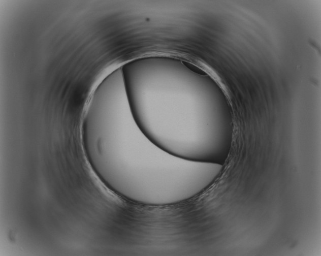 X0000091890811200709051043
