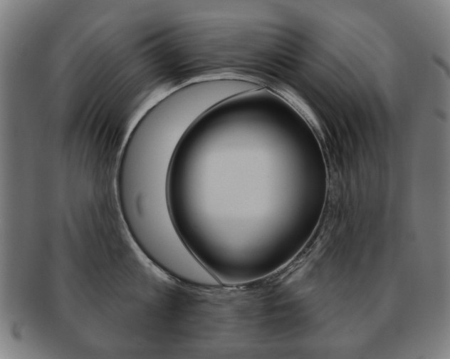X0000091890813200709051043