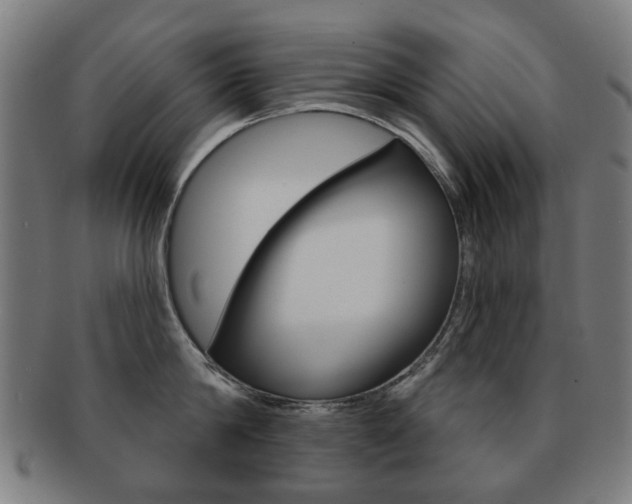 X0000091890814200709051043