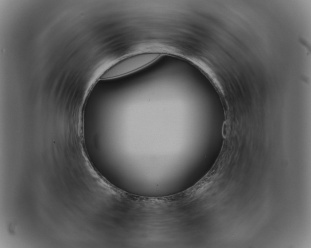 X0000091890815200709051043