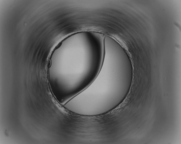 X0000091890816200709051043
