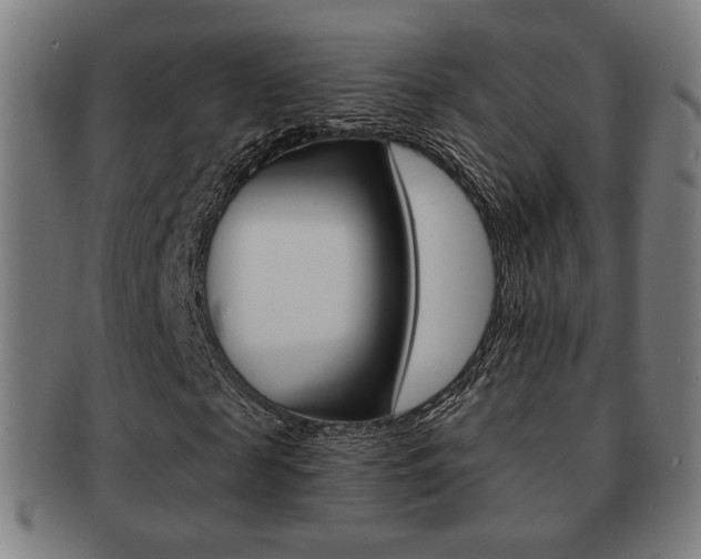 X0000091890817200709051043