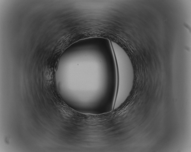 X0000091890818200709051043