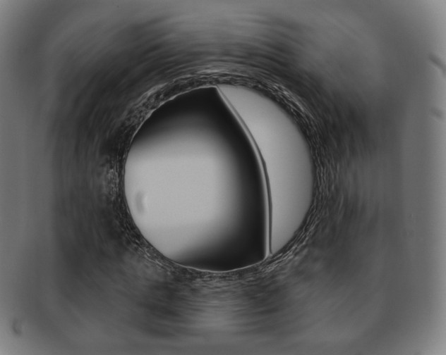 X0000091890821200709051043