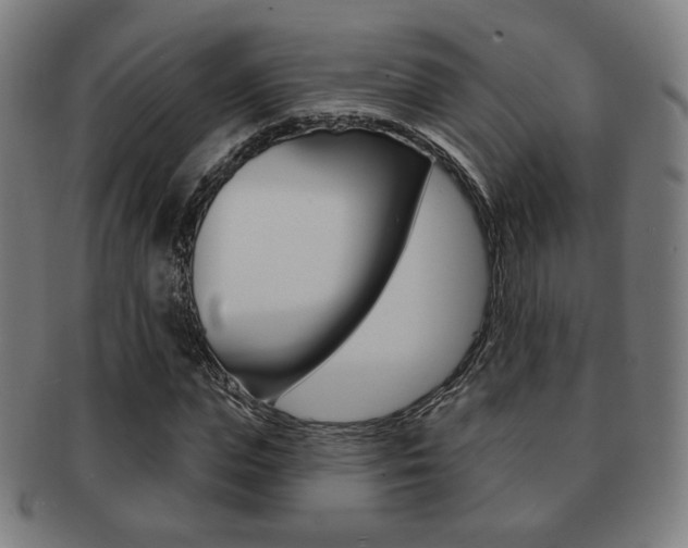 X0000091890823200709051043