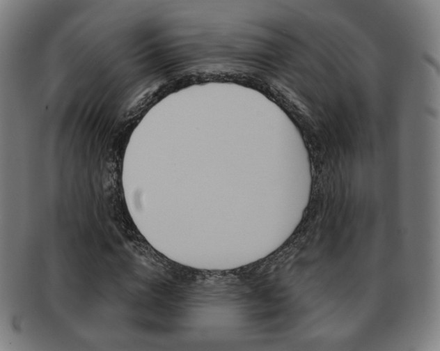 X0000091890824200709051043