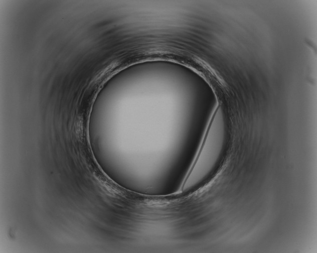 X0000091890825200709051043