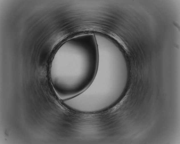 X0000091890826200709051043