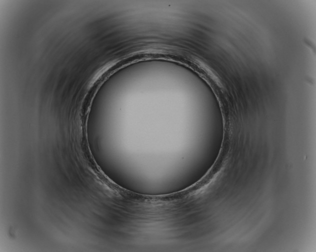 X0000091890829200709051043