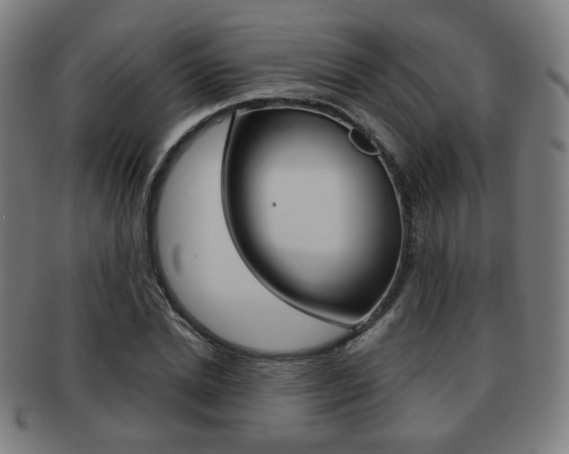 X0000091890830200709051043