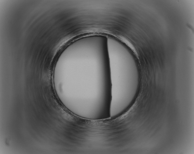 X0000091890831200709051043