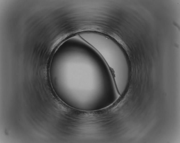 X0000091890834200709051043