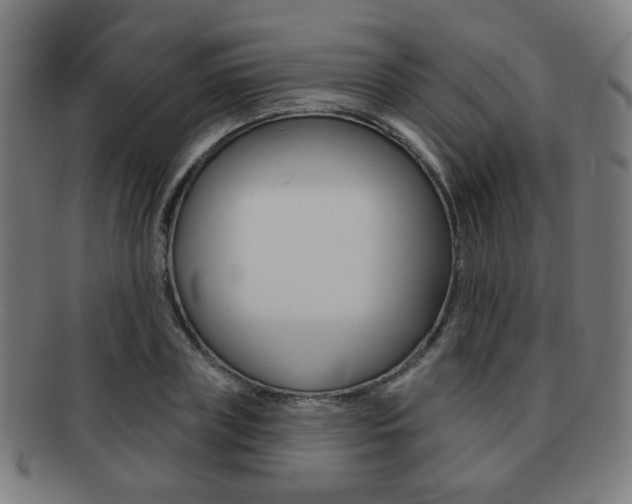 X0000091890835200709051043