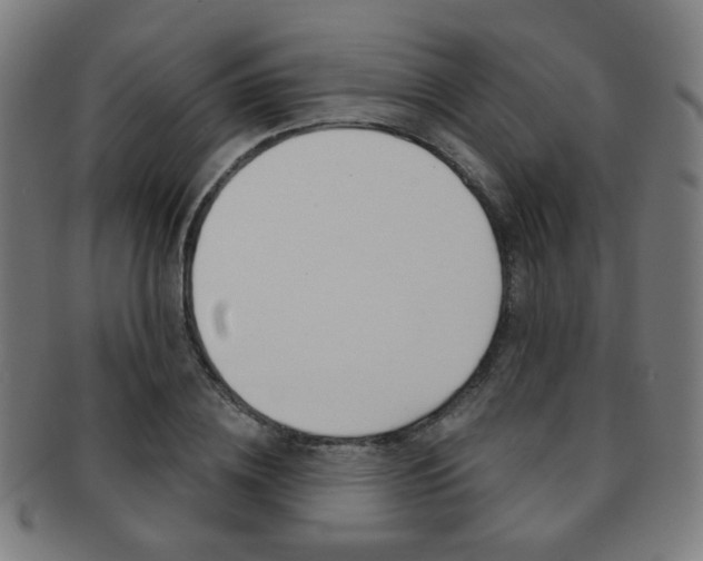 X0000091890836200709051043