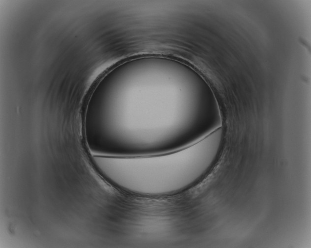 X0000091890838200709051043