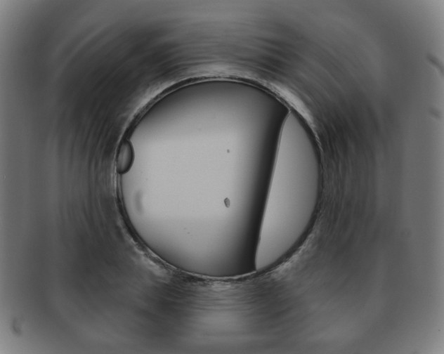 X0000091890839200709051043