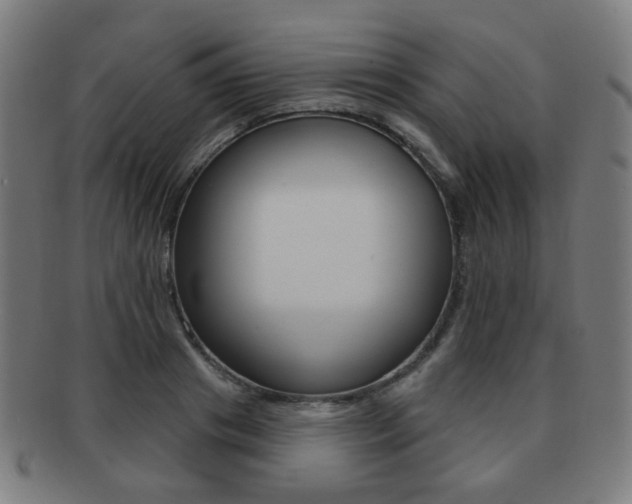 X0000091890841200709051043