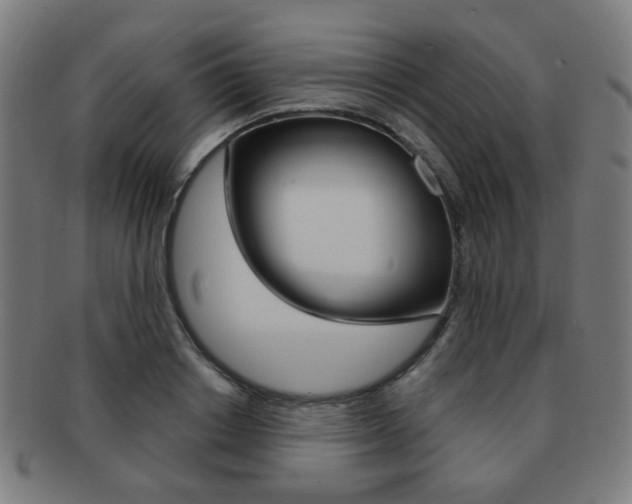 X0000091890842200709051043