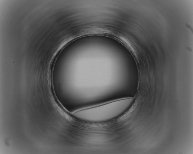 X0000091890843200709051043
