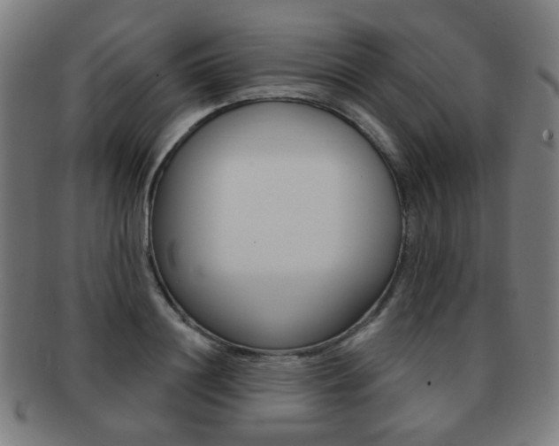 X0000091890844200709051043