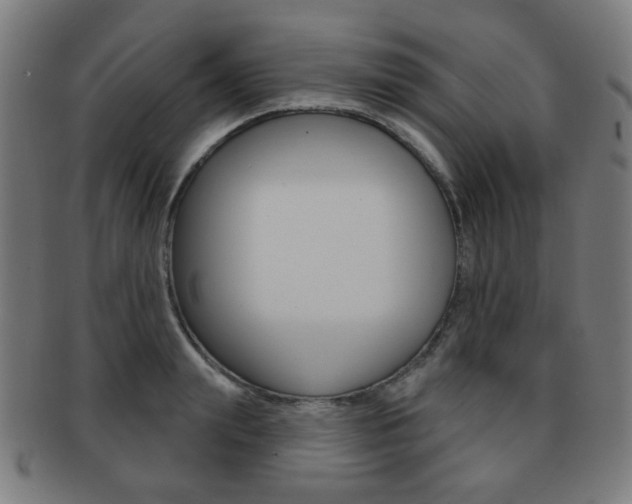 X0000091890847200709051043