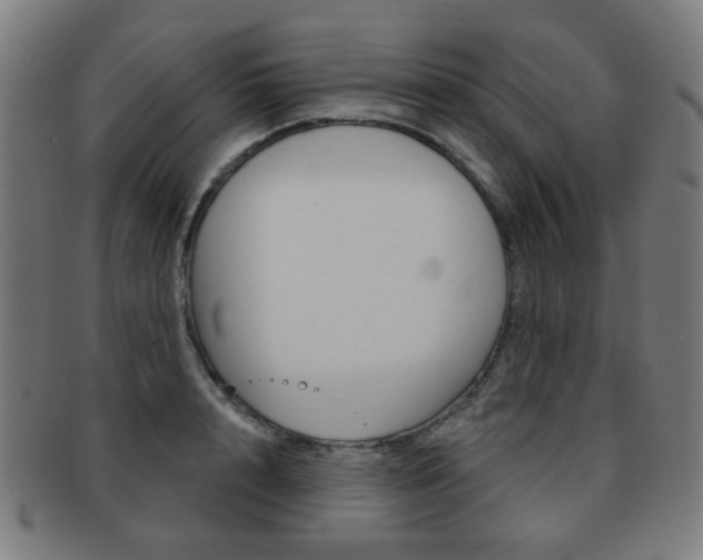 X0000091890848200709051043