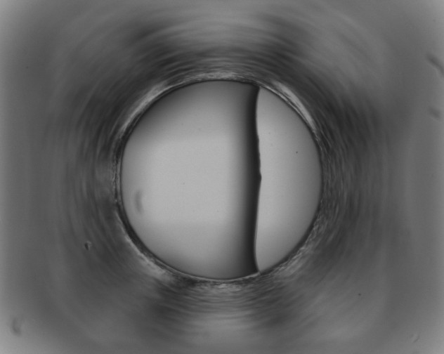 X0000091890851200709051043